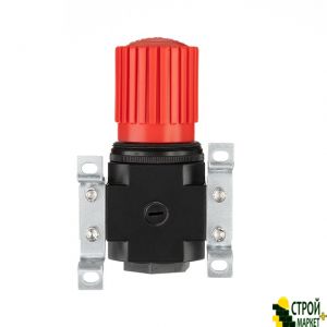 Регулятор давления 1/2", 1-16 бар, 4000 л/мин, профессиональный PT-1428 Intertool