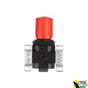 Регулятор тиску 1/4 ", 1-16 бар, 1600 л / хв, професійний PT-+1429 Intertool