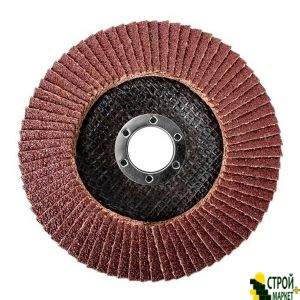 Flap grinding disc 125 * 22mm, grain K40 BT-0204 Intertool